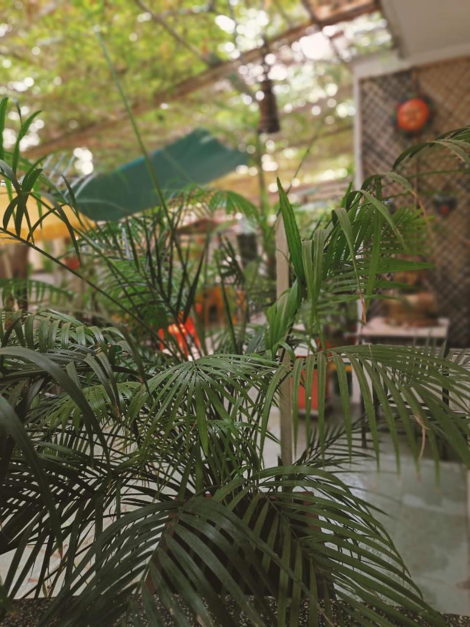 Srinekatan Heritage Villa Homestay Ahmedabad Ngoại thất bức ảnh