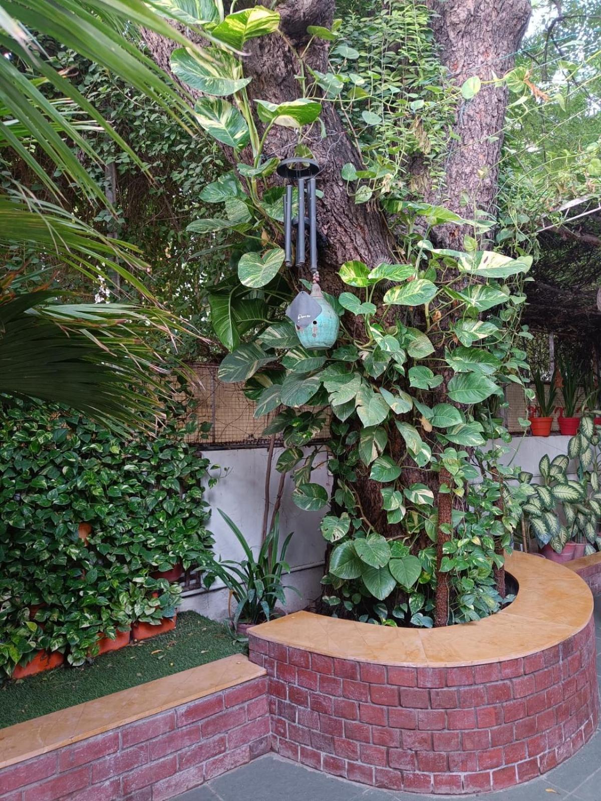 Srinekatan Heritage Villa Homestay Ahmedabad Ngoại thất bức ảnh